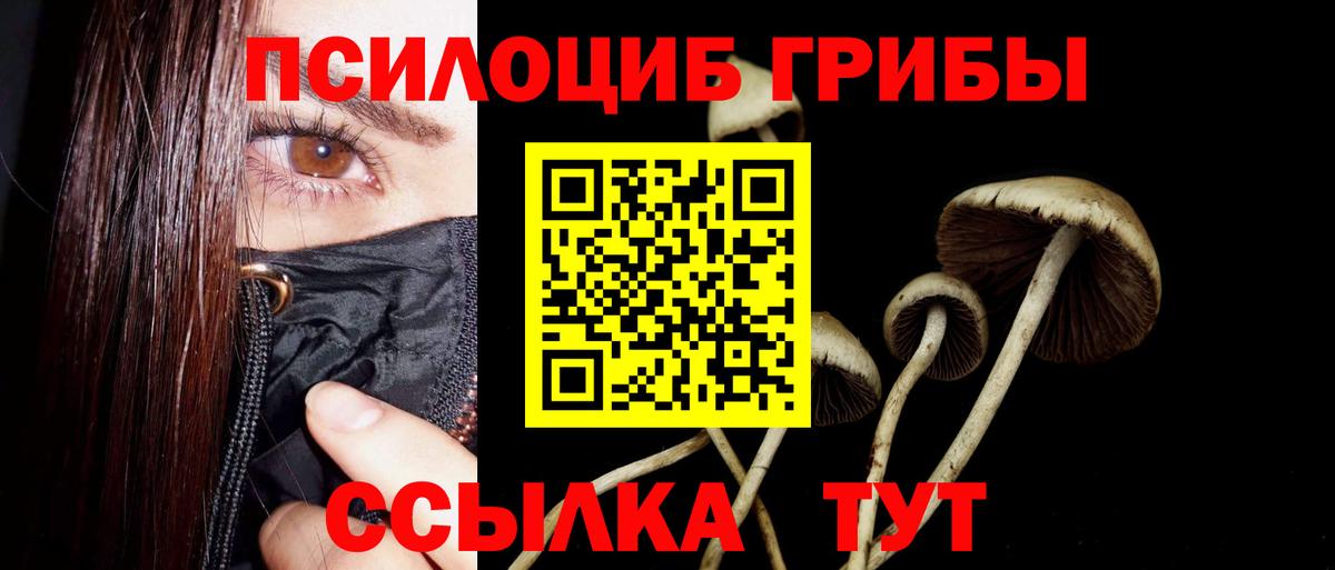 Галлюциногенные грибы мицелий  Вход с VPN  Семёнов 
